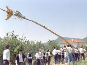 Celebración del Mayo