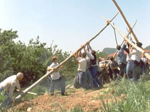 Celebración del Mayo